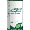 Lingonberry Young Shoot by Genestra