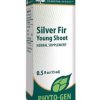 Silver Fir Young Shoot by Genestra