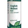 English Walnut Bud by Genestra