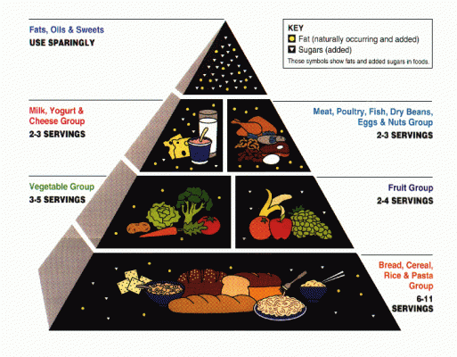 Food Pyramid From FDA
